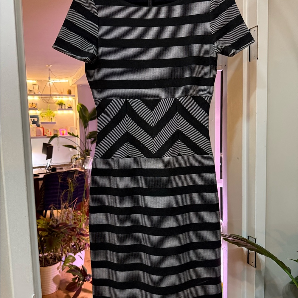 BCBG Black and Gray Striped Dress